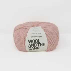 Alpachino Merino - Cameo Rose