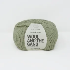 Alpachino Merino - Euycalyptus Green