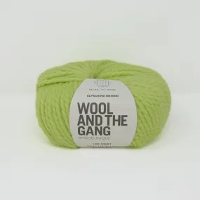 Alpachino Merino - Lime Sorbet