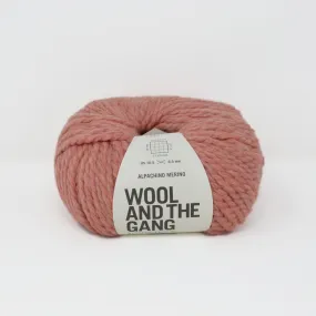 Alpachino Merino - Rocksalt Red