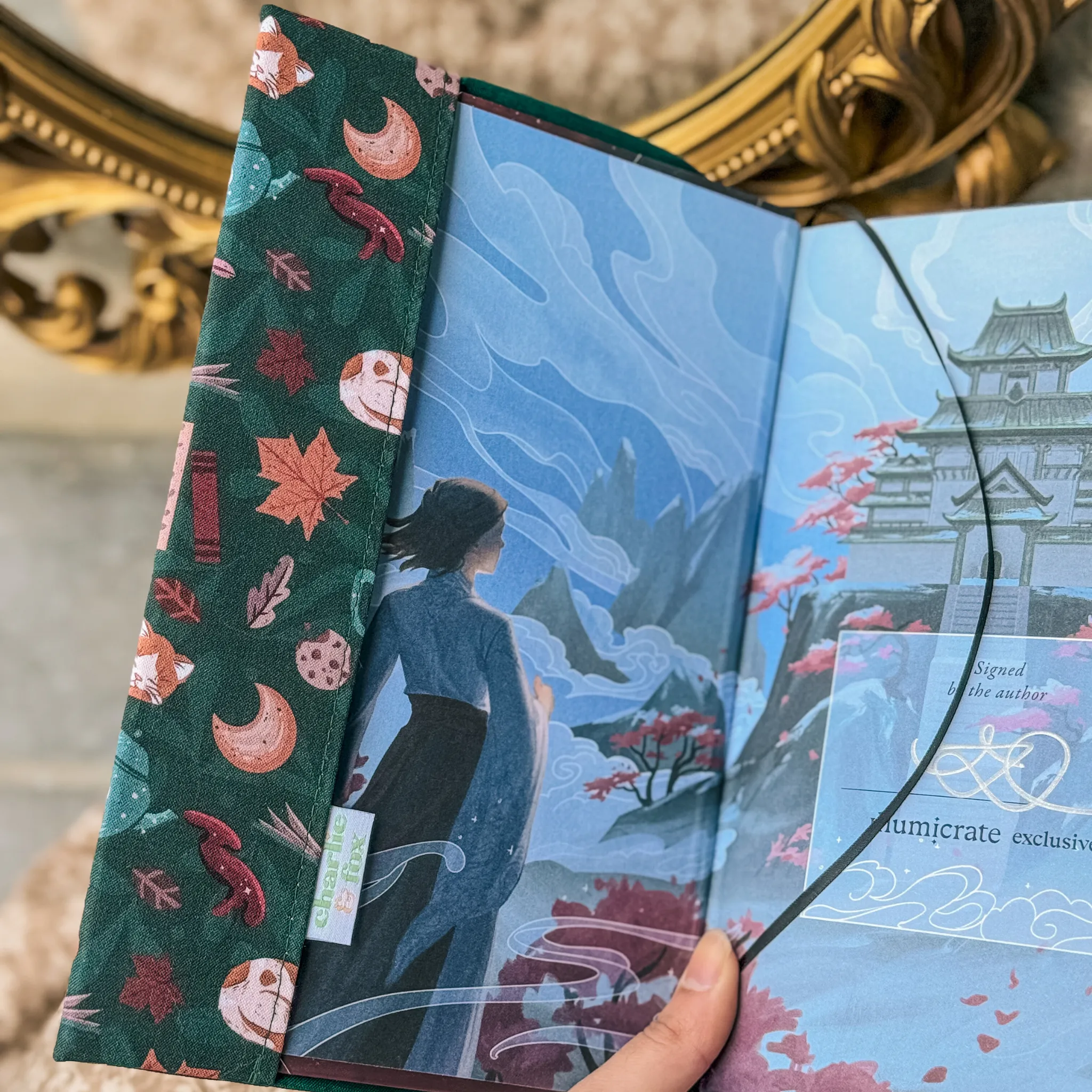 Cozy Reads in Forest fabric dust jacket