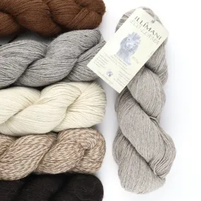 Illimani Eco Llama