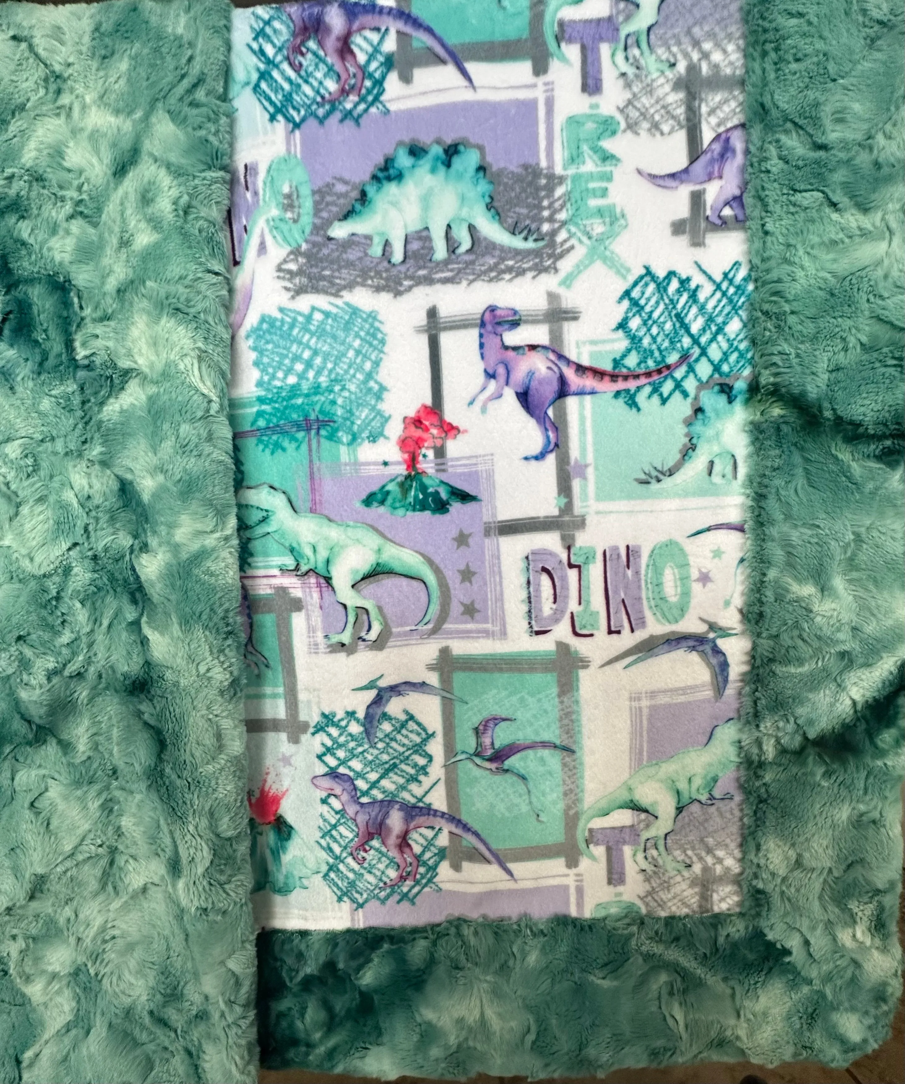 T-Rex Bellflower on Spearmint Galaxy Minky Toddler Blanket - 44x54 with 13x19 Pillowcase for a 12x18 Size Pillow