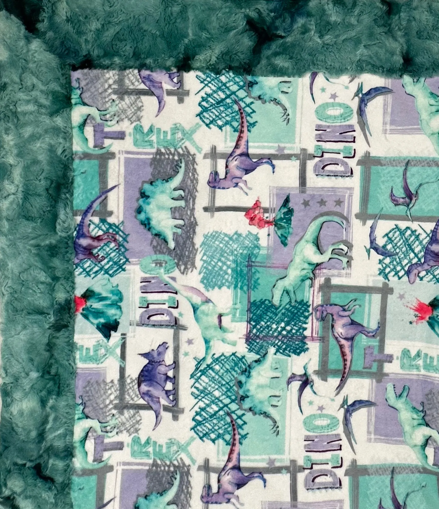 T-Rex Bellflower on Spearmint Galaxy Minky Toddler Blanket - 44x54 with 13x19 Pillowcase for a 12x18 Size Pillow